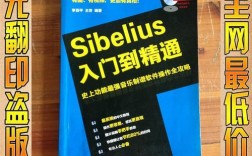 从入门到精通：全面解析VPS挂载方法（从入门到精通：全面解析VPS挂载方法)