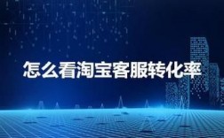 天猫转换率在哪里看（天猫转化率怎么看）