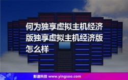 独享虚拟主机经济版怎么样（独享虚拟主机经济版怎么样用）