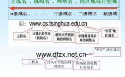 规则域名价值（规定域名命名规则）