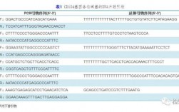 怎么查自己dns（怎么查自己dna的全序列）