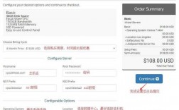 怎么看vps的配置（汽车vps怎么用)