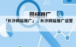 湖南哪里有网站推广公司（湖南网络推广哪家好）