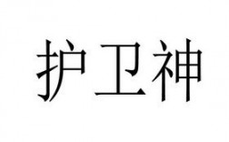 护卫神怎么样（护神护卫怎么念）