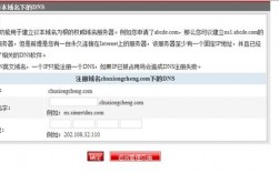 域名怎么处理（域名怎么处理异常）