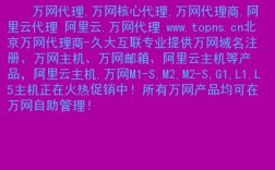 万网怎么代理（万网怎么代理赚钱）