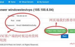 vps怎么读（vps是啥意思）