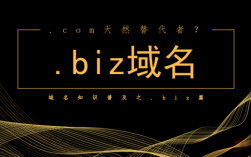 域名主页名（域名biz）