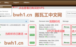 搬瓦工怎么看买的什么系统（搬瓦工网速怎么样）