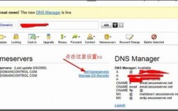 godaddy怎么解析网页dns（怎么解析dns地址）