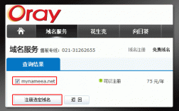 .net在域名中（net域名怎么样）