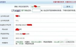 怎么查找域名注册人（如何查域名的注册人）