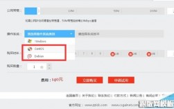 国外云服务器vps租用怎么选择提供商（国外云服务器vps租用怎么选择提供商）