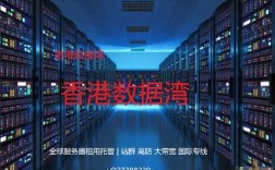 香港服务器天下数据（天下数据服务器怎么样）