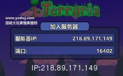 怎么看游戏的ip端口（泰拉瑞亚ip端口怎么看）