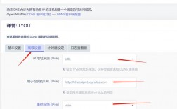 域名怎么解析ip（域名怎么解析ipv6）