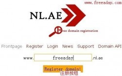关于nl.ae域名的信息