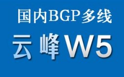 云峰w5虚拟主机怎么样（云峰设备）