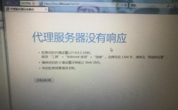 海外服务器代理服务器（找不到internet服务器或代理服务器）