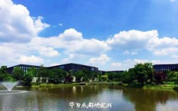 华为全球研究所（华为全球研究所有几个）