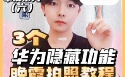 华为秒杀单反（单反相机和华为手机拍照哪个好）