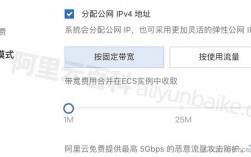 怎么使用国际出口带宽（怎么使用国际出口带宽流量）
