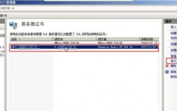 iis多域名绑定（iis域名绑定命令证书）