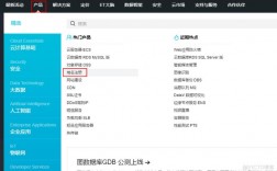 海外云服务器便宜租用的方法是什么（网易云cnip和snip有什么区别)