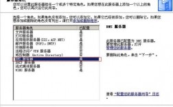 nds自制服务器（服务器nds配置）