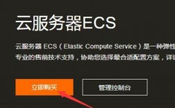 怎么样在国外租服务器（怎么样在国外租服务器呢）