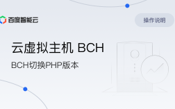 怎么解析云虚拟主机（云虚拟主机bch）