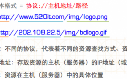 网站url地址在哪里（网站url地址在哪里打开）