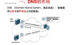 dns已解析域名（dns域名解析问题）