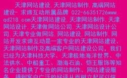 天津哪里有做网站的（天津正规制作网站公司）