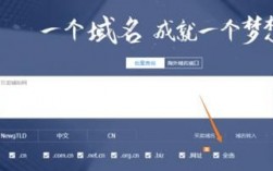 网站域名登陆地址（域名登录网站什么意思）