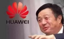 华为男辞职后像白痴（华为男员工）