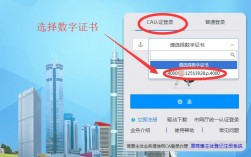 深圳数字证书怎么购买（深圳数字证书怎么购买的）