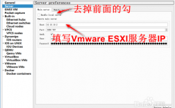 vsp主机怎么用（vsp怎么打开）