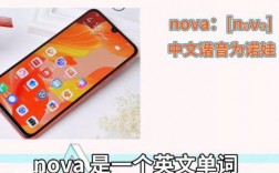 华为nova怎么念（nova翻译成中文）