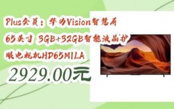 华为Vision（华为vision是什么系列）