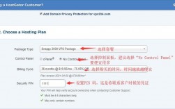 美国vps太慢怎么办（美国vps线路）