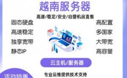 越南服务器怎么租（越南云服务器品牌）