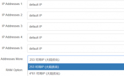 选择站群服务器时应该怎样选择IP_服务器租赁（站群服务器ip设置）