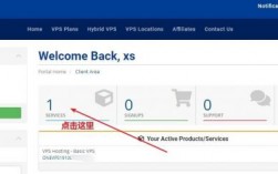 买了vps怎么用（vps怎么使用教程）