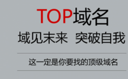 top域名备案（top域名备案好不好）