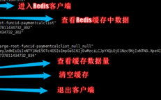 redis没有bin目录怎么启动，linux查看redis状态