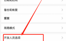 华为开发者选项在哪（华为开发者选项在哪里打开USB）