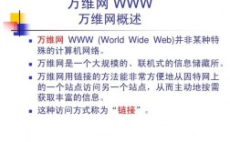 万维网的概念，万维网域名怎么解析