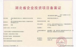 项目备案证怎么变更（项目备案证怎么变更名字）