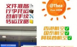 国外机子怎么转（在国外转机怎么用流量）